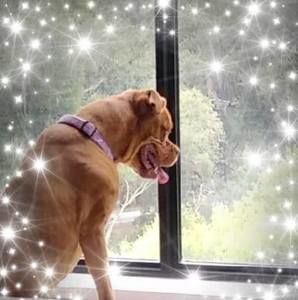 Meet your Posher, Christina mccormick